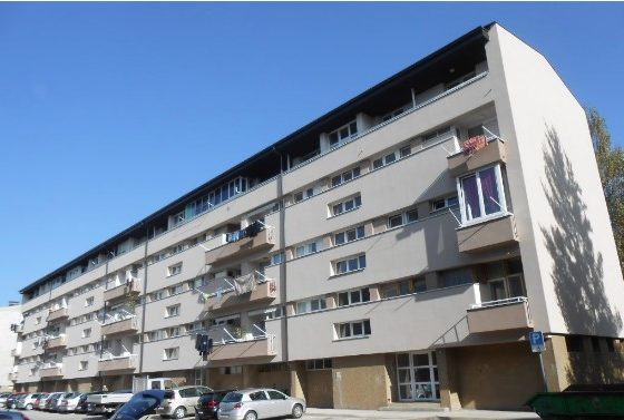 nova slika nova slika