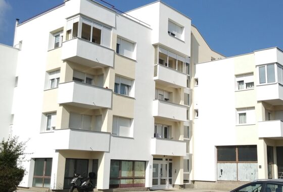 slika nova slika nova